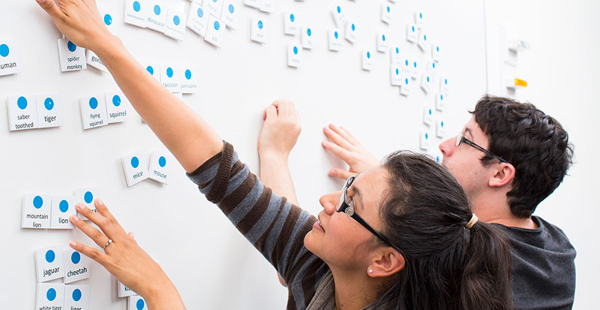 Cognitive science students will be able to propose their own honors research projects.